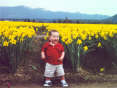 Cam and his tulips