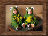 Halloween frogs