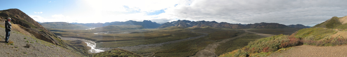 Denali National Park