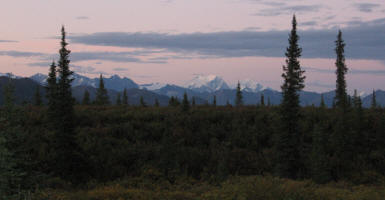 Denali Highway