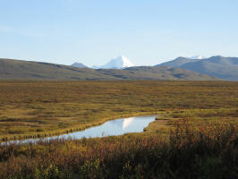 Denali Highway