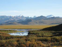 Denali Highway