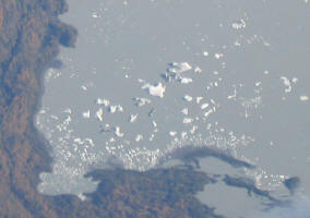 Chugach State Park Ice Floes