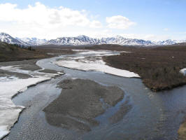 Denali National Park