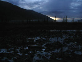 Eagle River Swamp at Dusk