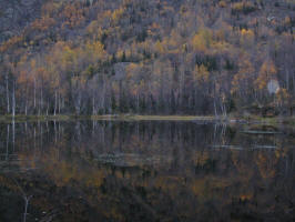 Echo Point Reflection