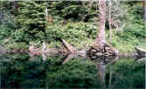 Alpine Lakes Wilderness