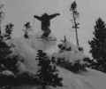 KP Powder at Alta - photo by Rex