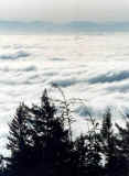 Seattle from the Olympic Range