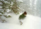 Kerrie in the powder at Alta