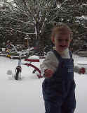 addie20031230backyardsnow.jpg (113348 bytes)